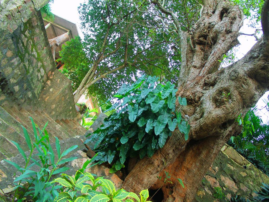Mount View Otel Polonnaruwa Dış mekan fotoğraf